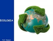 Ecologia 6