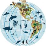Biogeografia
