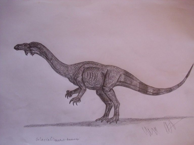 Glacialisaurus Hammeri
