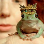 Sapo Bem Cuidado Com Coroa na Cabeça