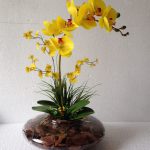 Orquídea Amarela Para Ornamentar Ambientes