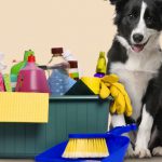 Produtos Químicos Proibidos Para Animais