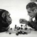 Chimpanzé e um Homem Jogando Xadrês