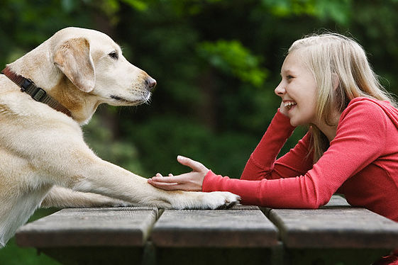 Conversando com o Cachorro