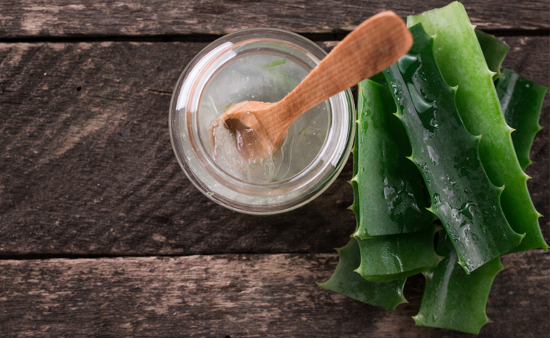 Como Fazer um Creme de Babosa em Casa? Passo a Passo