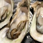 Ostra Aberta