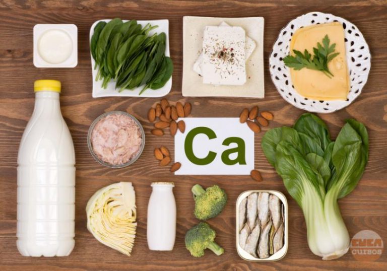 Alimentos Ricos em Cálcio