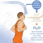 CO2 no organismo