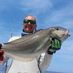 Tilefish