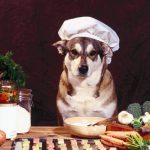 Cachorro e Alimentos