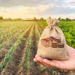 Investimento Agropecuário
