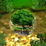 Ecologia