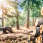 Exploração dos Recursos Naturais