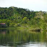 Rio na Amazônia