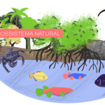 Ecossistema