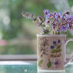 Borragem na Caneca