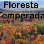 Florestas Temperadas