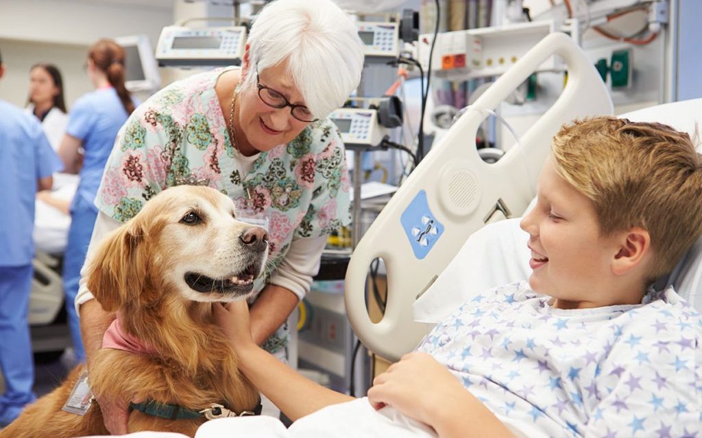 Uso de Animais em Terapias Assistidas