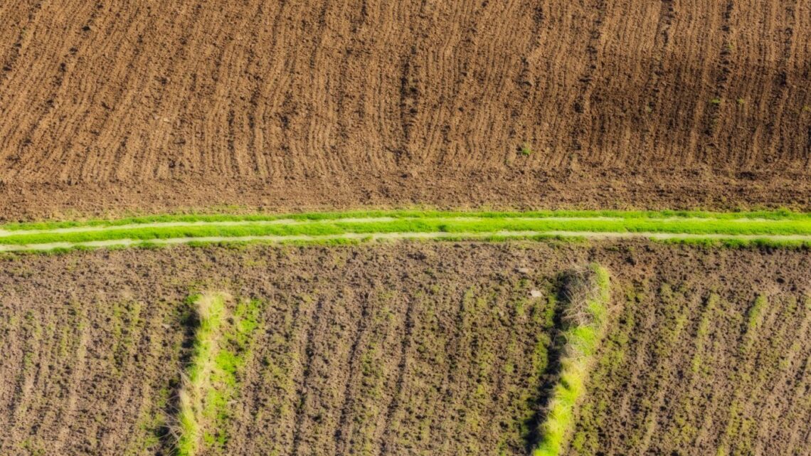 Microplásticos no Solo: a Contaminação Invisível que Ameaça a Agricultura Brasileira