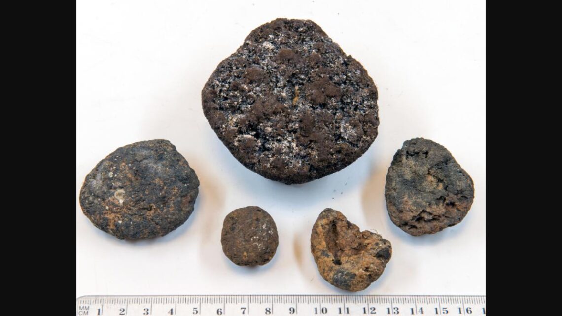 Mineração em Águas Profundas: Por Que a Corrida por Minerais no Fundo do Oceano Preocupa Cientistas